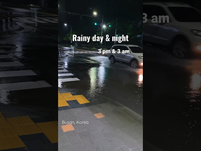 Rainy streets in Busan - Song “Ji Hyun’s despair” by A.thentic Jong Hee