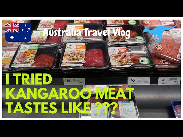 What does Kangaroo Meat Taste Like | Australia Travel Vlog | 26N11D18
