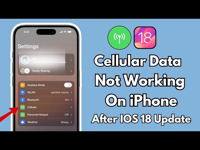 How To Fix Cellular Data Not Working On iPhone After IOS 18 Update ! Mobile Data Not Working
