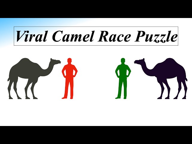 Popular Camel Race Puzzle For Fortune || Camel Race Puzzle || Camel Race Riddle : Solution Explained