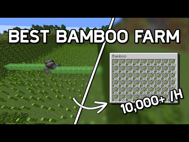 Best Bamboo Farm Minecraft 1.21 - 10,000 per Hour!