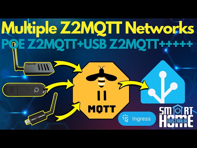 Multiple Z2MQTT Networks (with user friendly names via HA Ingress)