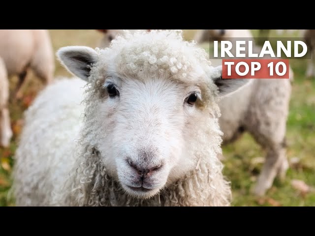 Top 10 MUST VISIT Places in Ireland