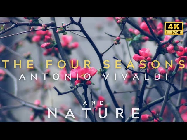 The Four Seasons Antonio Vivaldi | Vivaldi Four Seasons | Best Classical Music | 4K