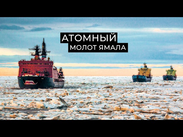 The symbol of conquering the Arctic: the nuclear icebreaker 'Yamal' | Facts