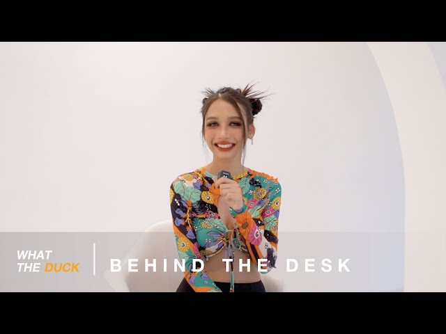 Behind The Desk (Duck) - วาดไว้ (recall) - BOWKYLION