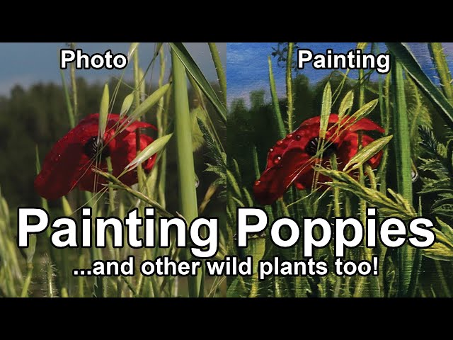 How to make Realistic Red Poppies Flowers Landscape Oil Painting Tips Tricks Demonstration Tutorial