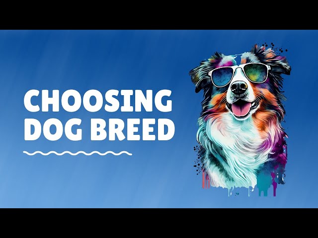Choosing the Perfect Dog Breed: A Guide for First-Time Pet Parents