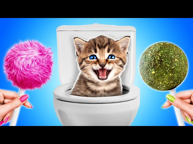 HELP! 🥺 Saved Tiny Kitten! How to Take Care of your Pets! Cool Cat Gadgets by Ha Ha Hub