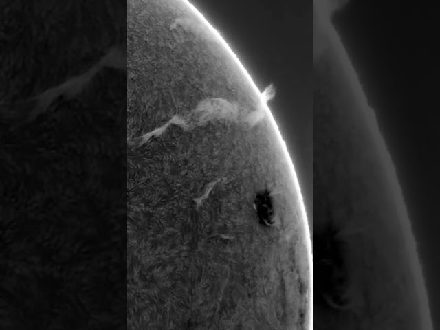 2024 06 12 - Our Sun captured in hydrogen alpha (solar flares) - inverted contrast