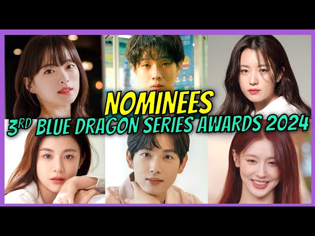 3rd Blue Dragon Series Awards 2024 Nominees