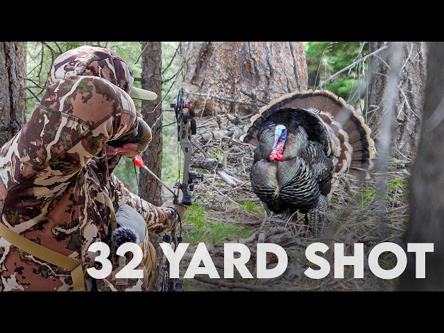 Bird Paradise! | Bow Hunting Frosted Tip Turkey (Mountain Merriam's)