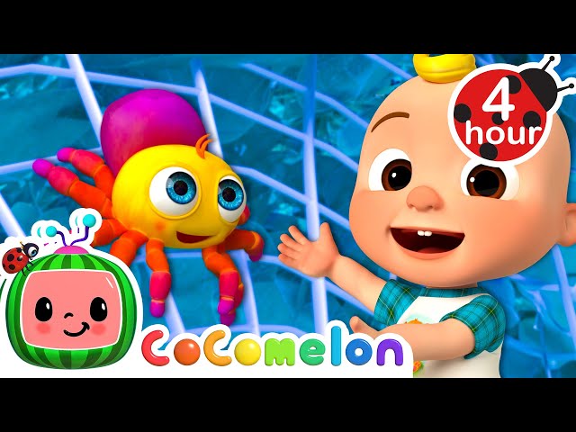 Itsy Bitsy Spider 🕷️🕸️ | CoComelon - Nursery Rhymes | Fun Cartoons For Kids