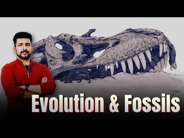 FSW Vlog | Evolution 04 | Why fossils are the evidence of the "Evolution of Life"? | Faisal Warraich