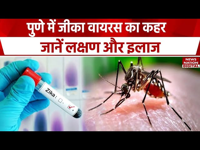 Zika Virus Symptoms: Maharashtra में जीका वायरस का खतरा, ऐसे करें बचाव | News Nation | Heath News