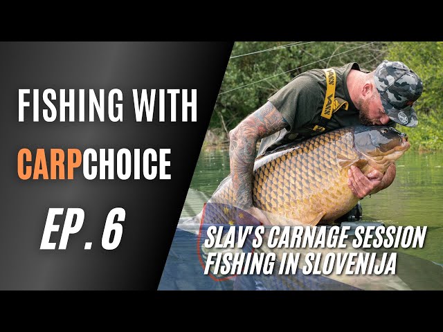 Fishing with Carpchoice ep.6 - Slav's carnage session (carp fishing in Slovenia) Eng. Slo. subtitles