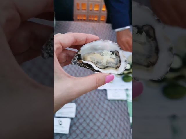 Me preparan ostras con caviar cítrico eating gourmet food oysters with finger lime MÁLAGA, Spain