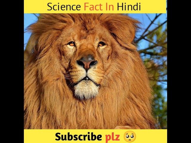 Science fact In Hindi 🤔 #fact #amazingfact #sciencingfacts #animalfacts