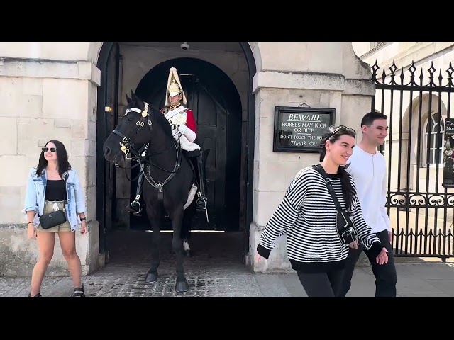 Tourists Full of Love🥰For Kings Horse 🐴