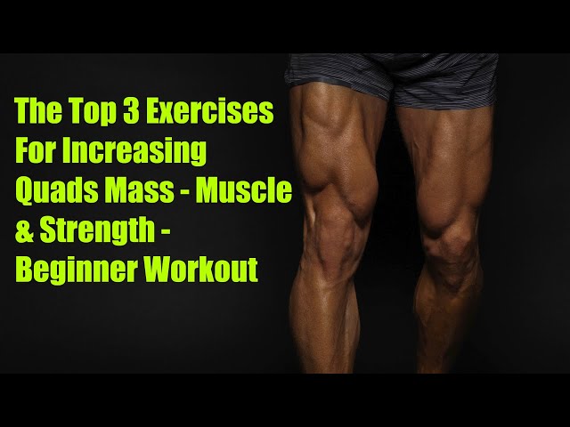 The Top 3 Exercises For Increasing Quads Mass - Muscle & Strength - Beginner Workout