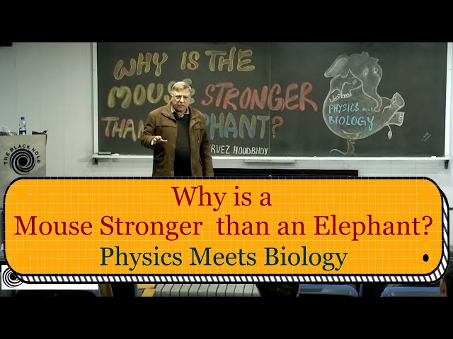 Why is a Mouse Stronger than an Elephant? | Physics Meets Biology | Dr. Pervez Hoodbhoy