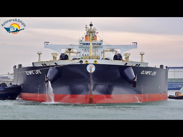 VERY LARGE CRUDE CARRIER and ULTRA LARGE CONTAINER SHIP arrives ROTTERDAM PORT, 4K Shipspotting 2022