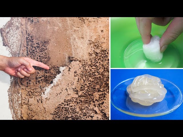 How To Kill Termites And Get Rid Of Them Forever