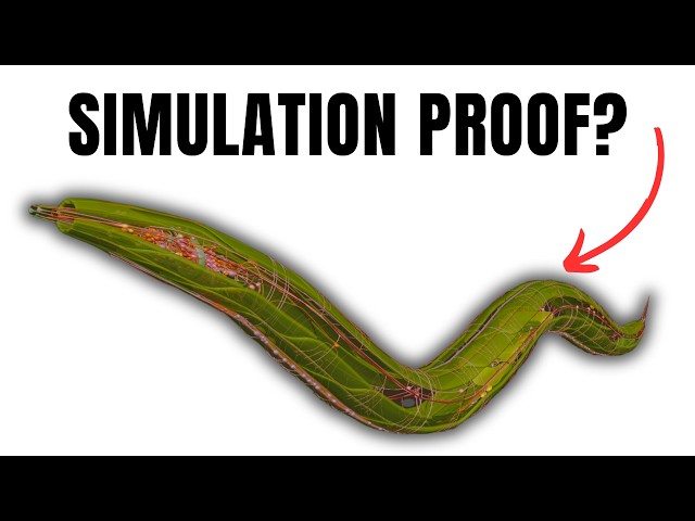 Does This Worm Prove We're In a Computer Simulation? 🤯