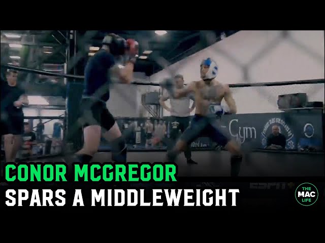 Conor McGregor spars a middleweight