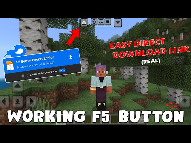 Minecraft PE F5 BUTTON ADDON | One Click Change Camera View FPP to TPP