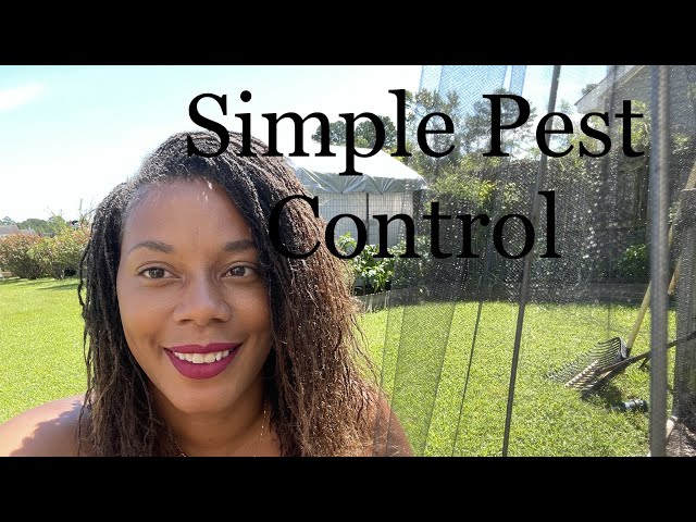 How To Prevent Pest Easy / Pest Control In The Garden