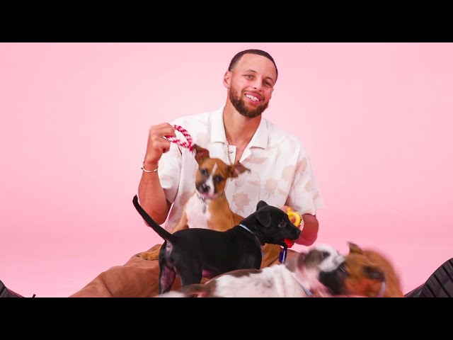 Stephen Curry: The Puppy Interview