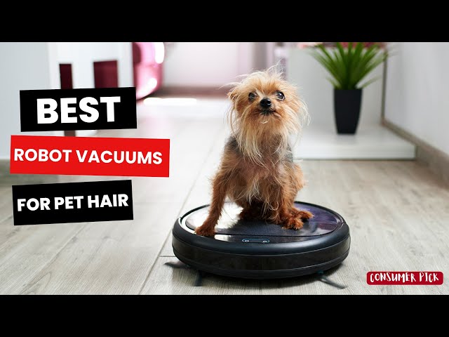 Best Robot Vacuums For Pet Hair 2024 - (Pet-Friendly Automation)