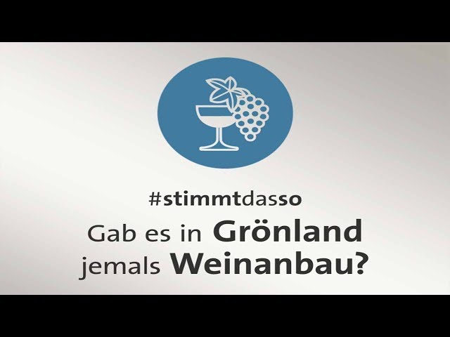 faktenfinder: Gab es in Grönland jemals Weinanbau?