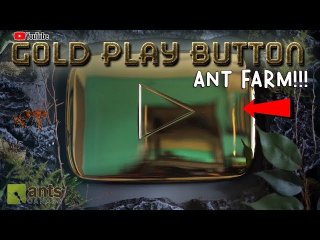 Turning My Youtube Gold Play Button Into an Ant Farm