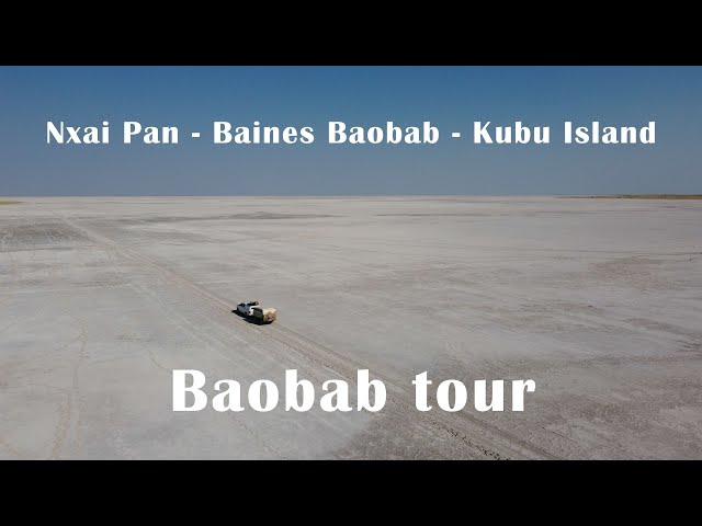 Nxai Pan - Baines Baobab - Kubu Island 2023