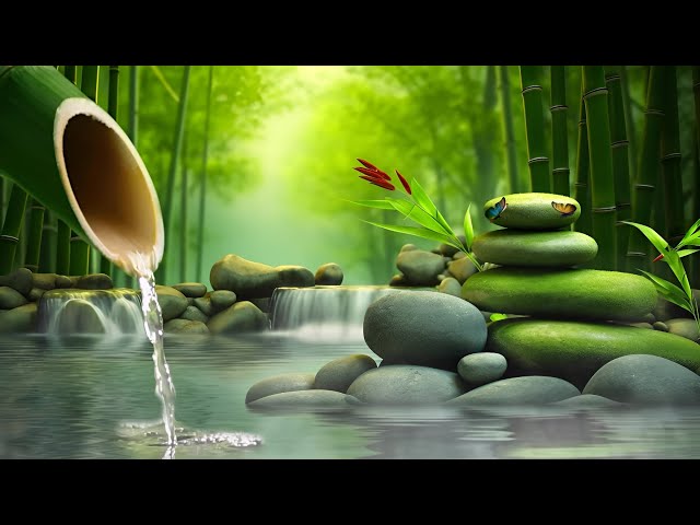 Relaxing Melodies in Harmony With Nature 🌿 Soothing Music for Stress Relief