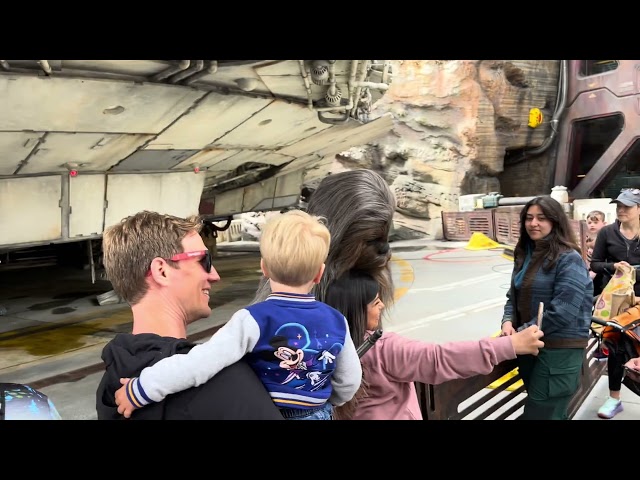 Chewbacca on Star Wars day Disneyland