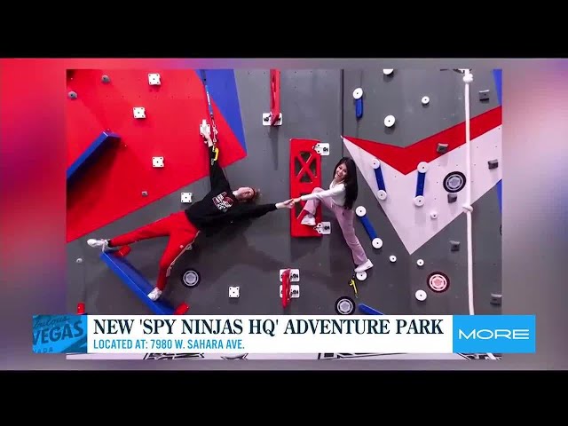 New 'Spy Ninjas HQ' adventure park
