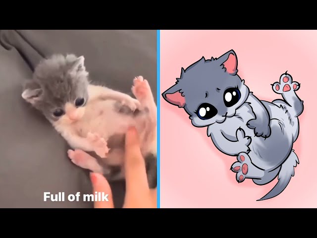 The CUTIEST Cat Videos of 2024! 🤣 BEST Compilation
