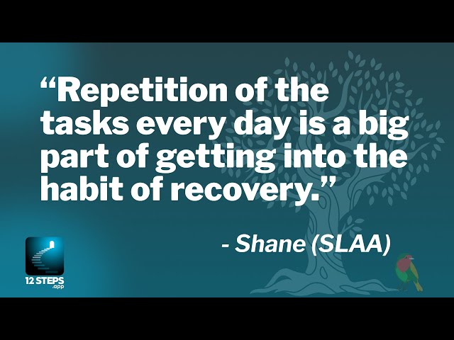 Shane on learning the discipline of daily recovery work - SLAA Speaker