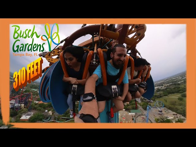 Falcon Fury | Busch Gardens Tampa Bay | 4K POV