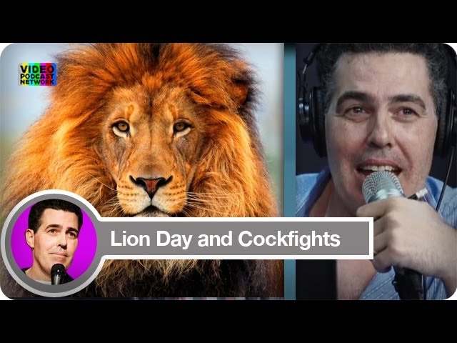 Lion Day and Cockfights | The Adam Carolla Show | Video Podcast Network