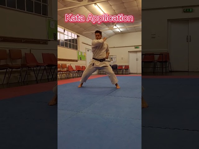 Can you name the Kata? #Karate #shotokan #kata #martialarts #training #dojo #judo