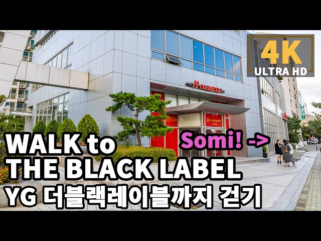 [4K] Walk to YG The Black Label * I saw SOMI ! * from Sangsu Station, Seoul | 상수역 카페거리에서 더블랙레이블까지
