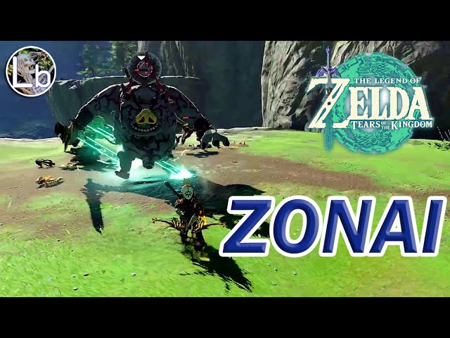 Zelda TOTK - Zonia VS Silver Bokoblins