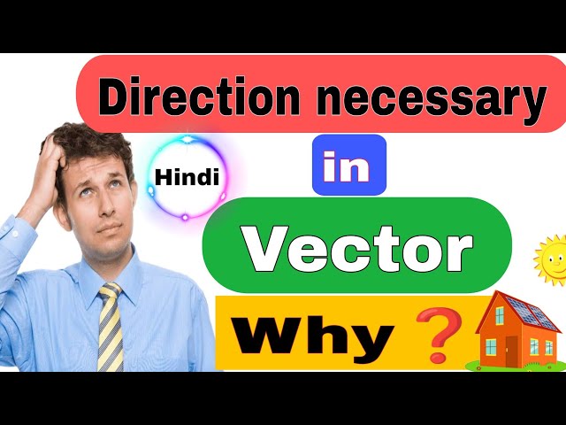 Scalar and Vector quality with example||Hindi||vector analysis.