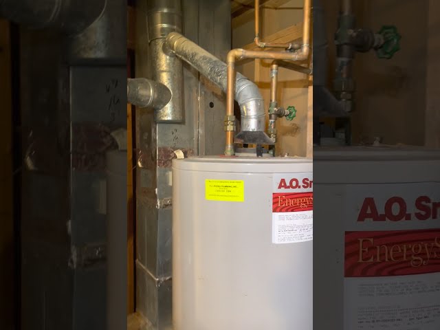 20 Year Old Leaking Atmospheric Natural Gas Water Heater