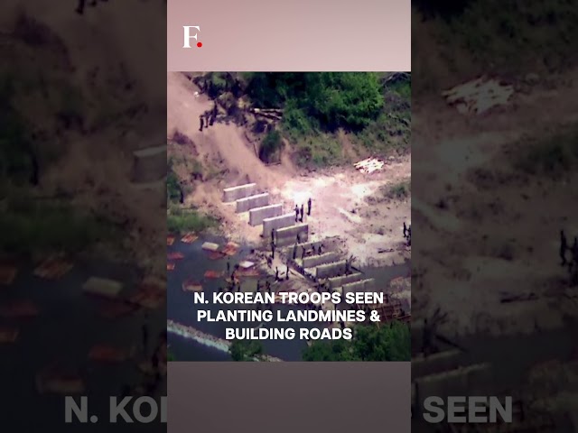 South Korea: North Korean Soldiers Crossed Demarcation Line | Subscribe to Firstpost