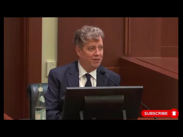 Amber Heard's Witness Ron Schnell Testifying for Defamation Trial Day 19 (Full Statement)